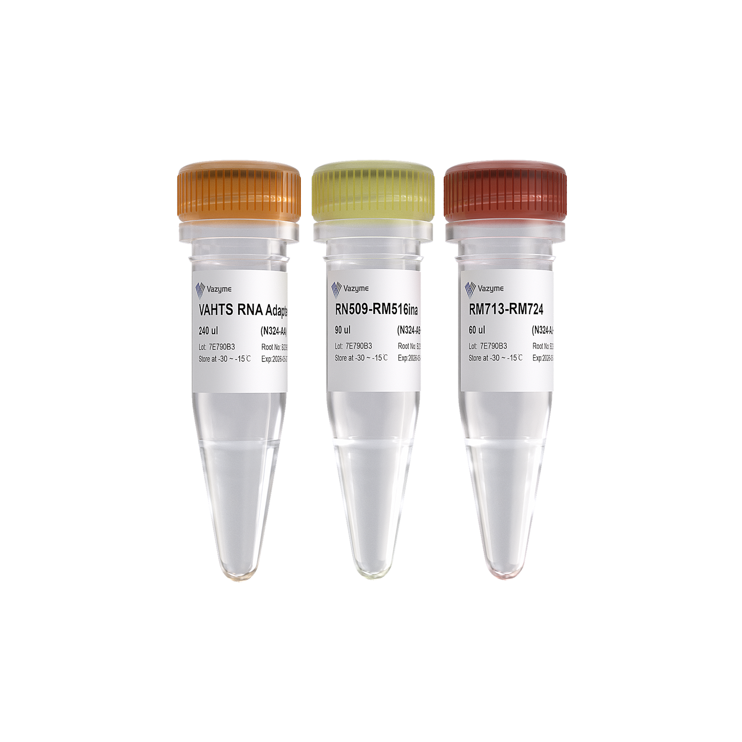 VAHTS RNA Multiplex Oligos Set 2 for Illumina (RM509-516 / RM713-724)