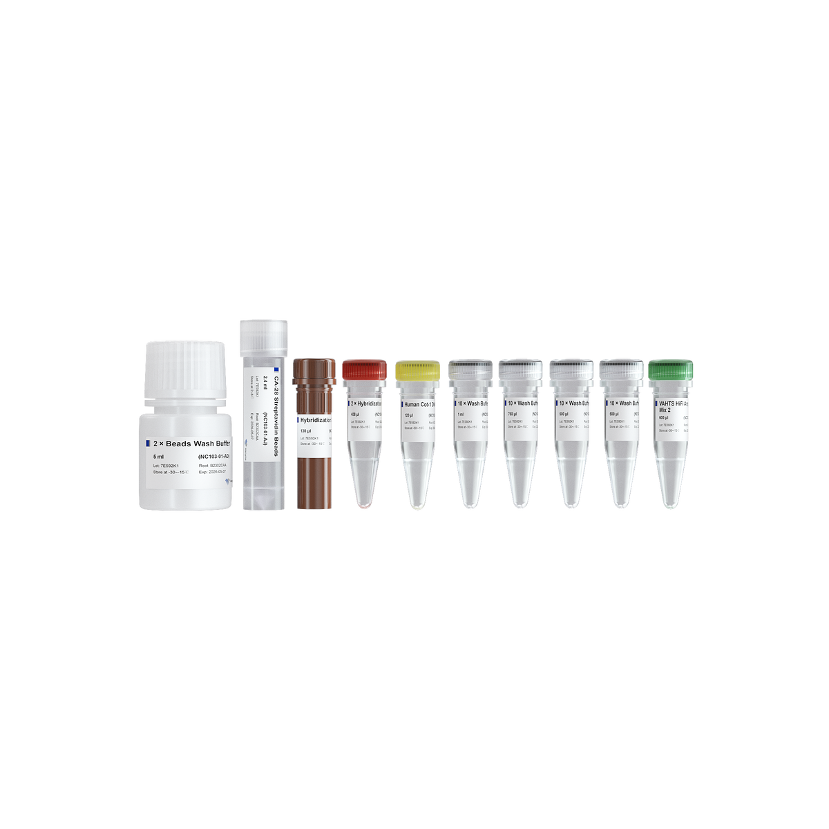 Absource VAHTS Target Capture Hybridization and Wash Kit | Absource
