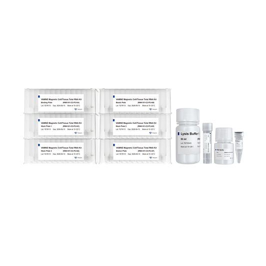 VAMNE Magnetic Cell/Tissue Total RNA Kit for VNP-96P