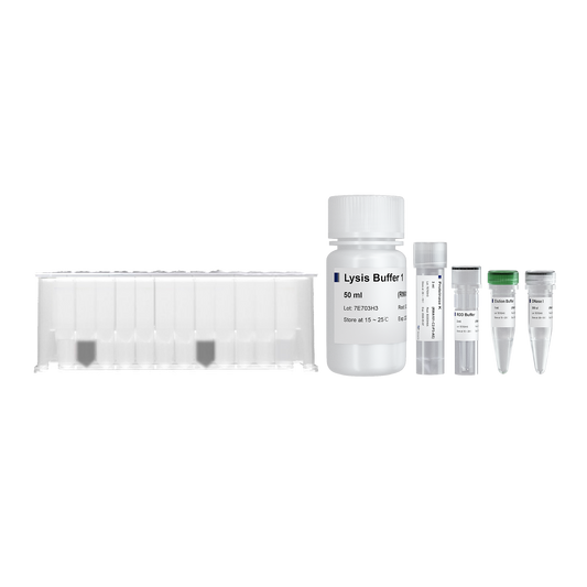 VAMNE Magnetic Cell/Tissue Total RNA Kit