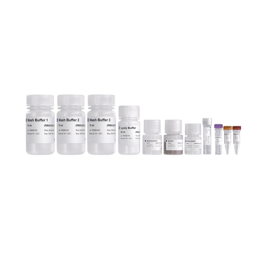 VAMNE Magnetic Cell/Tissue Total RNA Kit