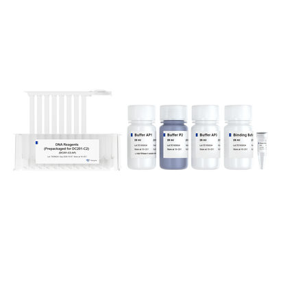 VAMNE Magnetic EndoFree Plasmid Mini Kit