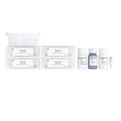 VAMNE Magnetic EndoFree Plasmid Mini Kit