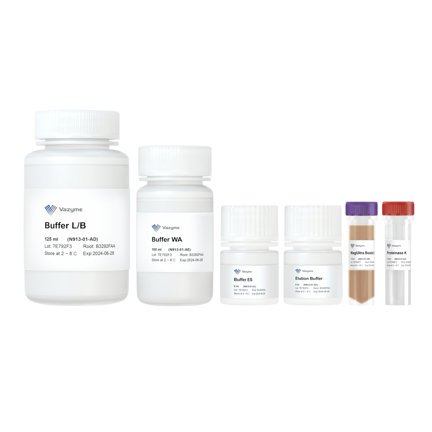 VAMNE MagUltra Circulating Cell-free DNA Isolation Kit