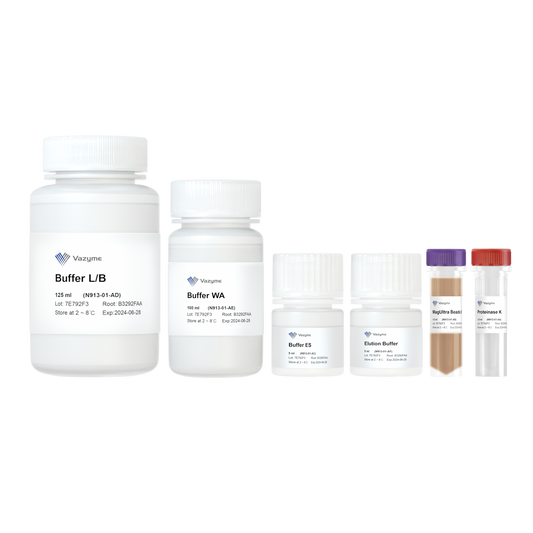 VAMNE MagUltra Circulating Cell-free DNA Isolation Kit