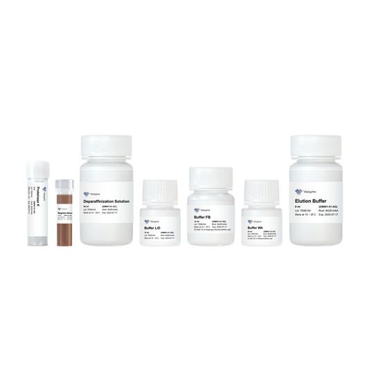 VAMNE MagUltra FFPE DNA Extraction Kit