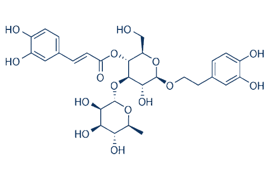Verbascoside