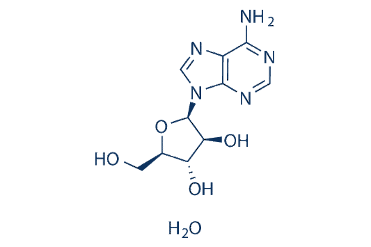 Vidarabine monohydrate