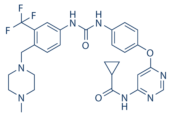 WS3