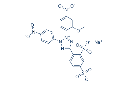 WST-8