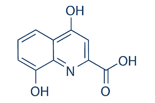 Xanthurenic Acid