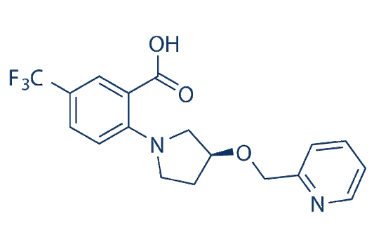 XEN445