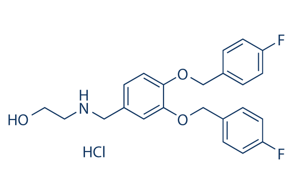XRK3F2