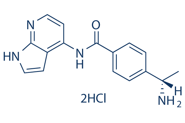Y-39983 Dihydrochloride