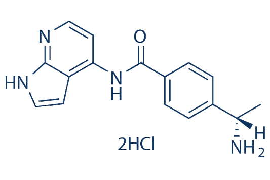 Y-39983 Dihydrochloride