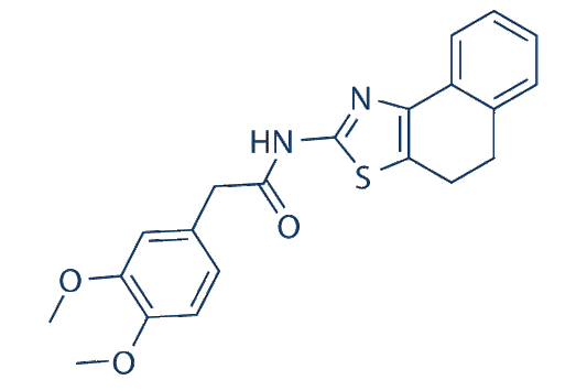 ZINC00881524 (ROCK inhibitor)