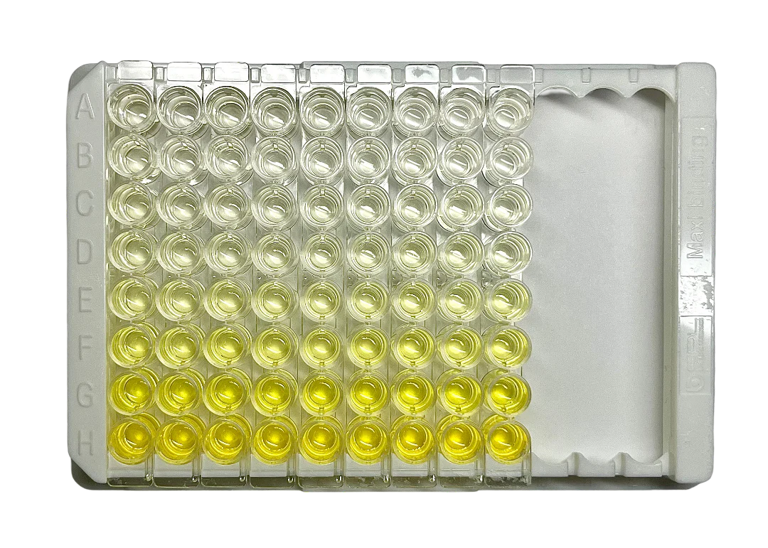 Human CXCL10 ELISA Kit